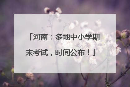 河南：多地中小学期末考试，时间公布！