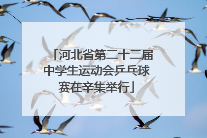 河北省第二十二届中学生运动会乒乓球赛在辛集举行