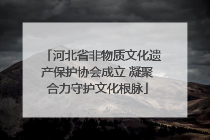 河北省非物质文化遗产保护协会成立 凝聚合力守护文化根脉