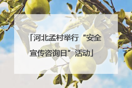 河北孟村举行“安全宣传咨询日”活动