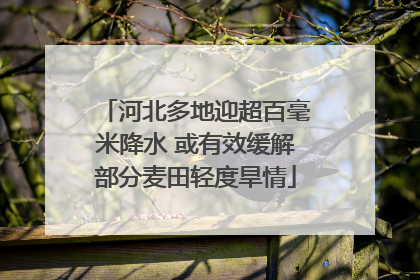 河北多地迎超百毫米降水 或有效缓解部分麦田轻度旱情