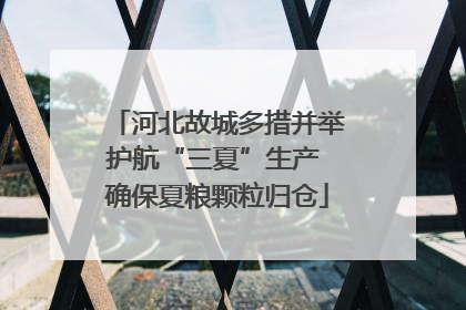 河北故城多措并举护航“三夏”生产 确保夏粮颗粒归仓