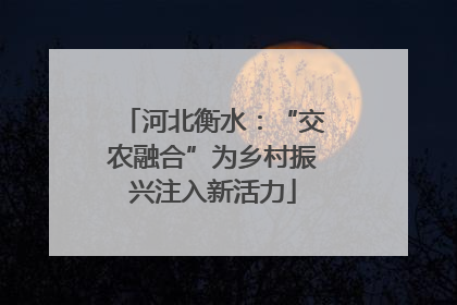 河北衡水：“交农融合”为乡村振兴注入新活力