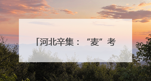 河北辛集：“麦”考生实收测产创新高