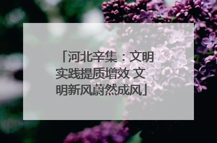 河北辛集：文明实践提质增效 文明新风蔚然成风