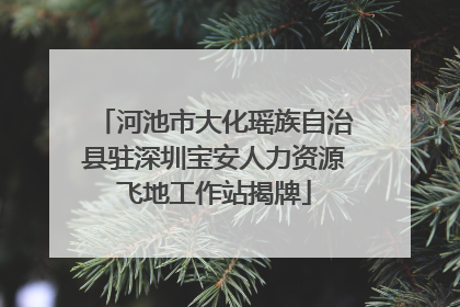 河池市大化瑶族自治县驻深圳宝安人力资源飞地工作站揭牌