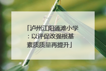 泸州江阳通滩小学：以评促改强根基 素质质量再提升