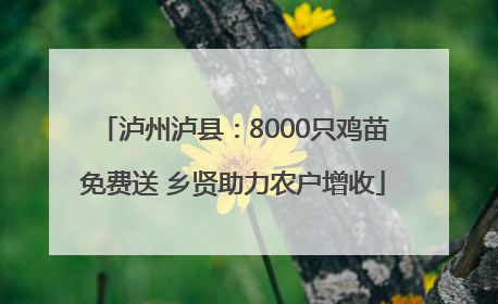 泸州泸县：8000只鸡苗免费送 乡贤助力农户增收