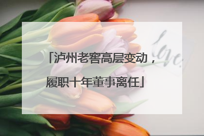 泸州老窖高层变动，履职十年董事离任
