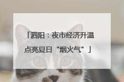泗阳：夜市经济升温 点亮夏日“烟火气”