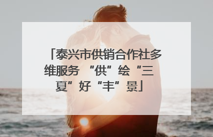 泰兴市供销合作社多维服务 “供”绘“三夏”好“丰”景