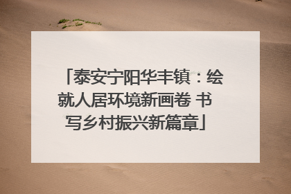 泰安宁阳华丰镇：绘就人居环境新画卷 书写乡村振兴新篇章