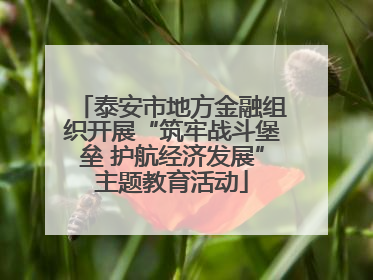 泰安市地方金融组织开展“筑牢战斗堡垒 护航经济发展”主题教育活动