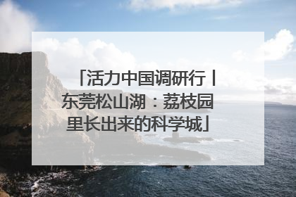 活力中国调研行丨东莞松山湖：荔枝园里长出来的科学城