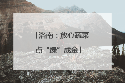 洛南：放心蔬菜点“绿”成金