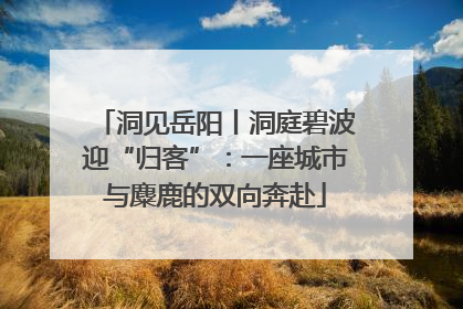 洞见岳阳丨洞庭碧波迎“归客”：一座城市与麋鹿的双向奔赴