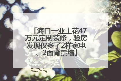 海口一业主花47万元定制装修，验房发现仅多了2样家电、2面背景墙