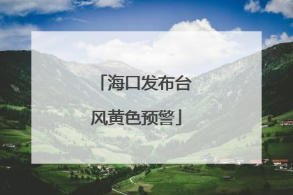 海口发布台风黄色预警