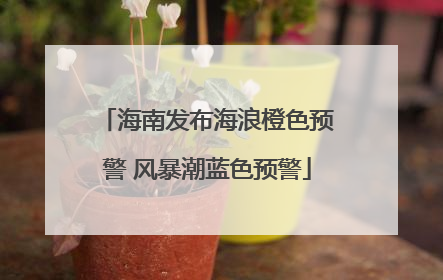 海南发布海浪橙色预警 风暴潮蓝色预警
