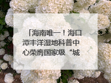 海南唯一！海口潭丰洋湿地科普中心荣膺国家级“城市儿童友好空间建设园区”称号