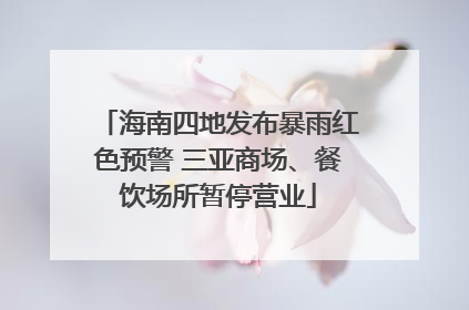海南四地发布暴雨红色预警 三亚商场、餐饮场所暂停营业