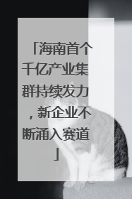 海南首个千亿产业集群持续发力，新企业不断涌入赛道