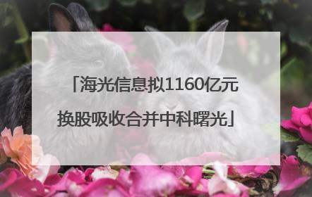 海光信息拟1160亿元换股吸收合并中科曙光