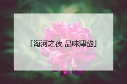 海河之夜 品味津韵