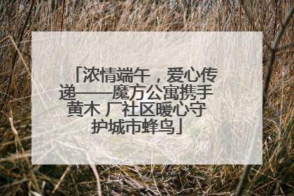 浓情端午，爱心传递——魔方公寓携手黄木 厂社区暖心守护城市蜂鸟