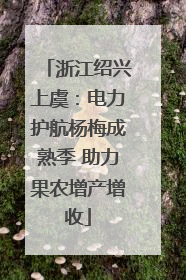 浙江绍兴上虞：电力护航杨梅成熟季 助力果农增产增收