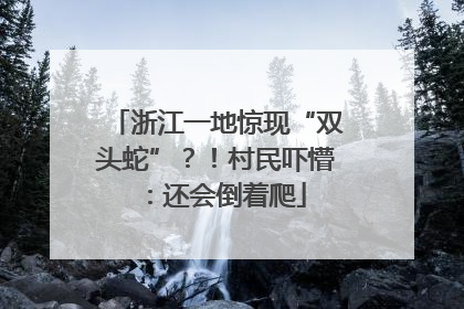 浙江一地惊现“双头蛇”？！村民吓懵：还会倒着爬