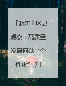 浙江山区县观察：高质量发展何以“个性化”？