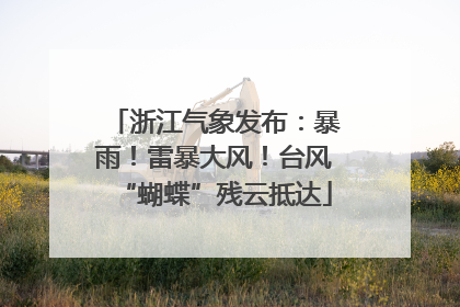 浙江气象发布：暴雨！雷暴大风！台风“蝴蝶”残云抵达