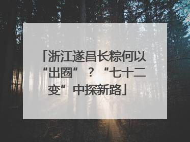 浙江遂昌长粽何以“出圈”？“七十二变”中探新路
