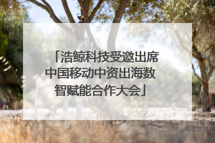 浩鲸科技受邀出席中国移动中资出海数智赋能合作大会