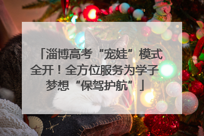 淄博高考“宠娃”模式全开！全方位服务为学子梦想“保驾护航”