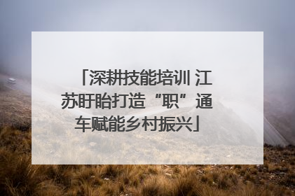 深耕技能培训 江苏盱眙打造“职”通车赋能乡村振兴