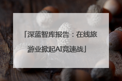 深蓝智库报告：在线旅游业掀起AI竞速战