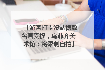 游客打卡没站稳致名画受损，乌菲齐美术馆：将限制自拍