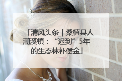 清风头条｜桑植县人潮溪镇：“迟到”5年的生态林补偿金