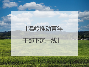 温岭推动青年干部下沉一线