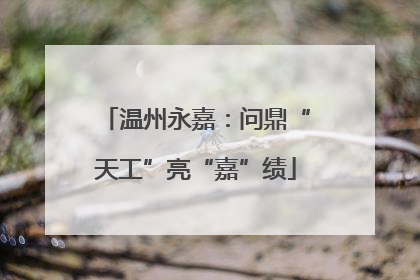 温州永嘉：问鼎“天工”亮“嘉”绩