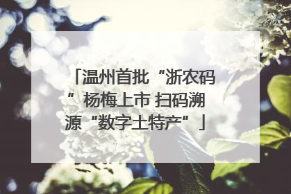 温州首批“浙农码”杨梅上市 扫码溯源“数字土特产”