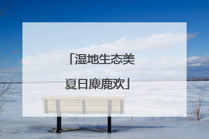 湿地生态美 夏日麋鹿欢