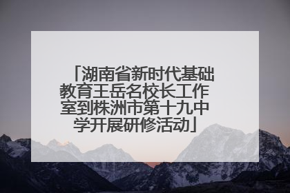湖南省新时代基础教育王岳名校长工作室到株洲市第十九中学开展研修活动