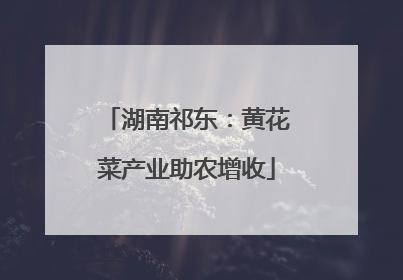 湖南祁东：黄花菜产业助农增收