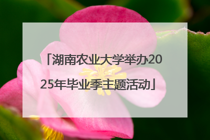 湖南农业大学举办2025年毕业季主题活动