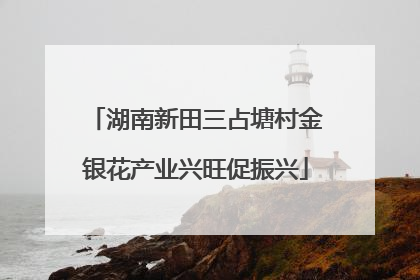 湖南新田三占塘村金银花产业兴旺促振兴