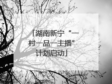 湖南新宁“一村一品一主播”计划启动