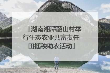 湖南湘潭韶山村举行生态农业共富责任田插秧助农活动
